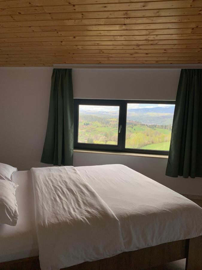 Vila Panorama Sohodol  Extérieur photo